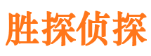 南溪市侦探公司